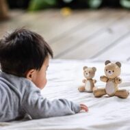 Μικρό Αρκουδάκι Plan Toys - Image 2