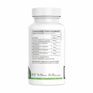 Green Forest Lion's Mane Complex 60 Φυτικές Κάψουλες - Image 2