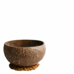 Coconut Bowl Natural Minimal List